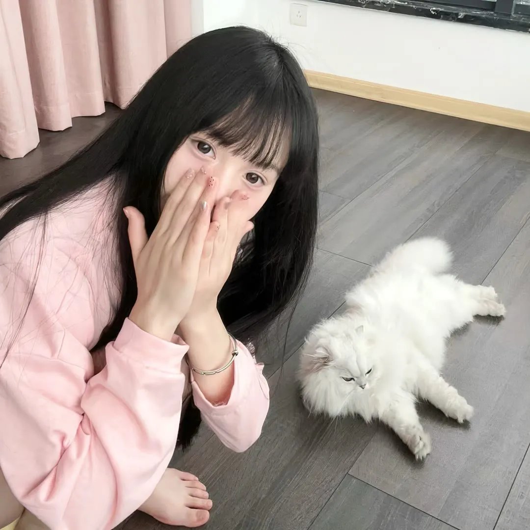 空中浩劫第十五季